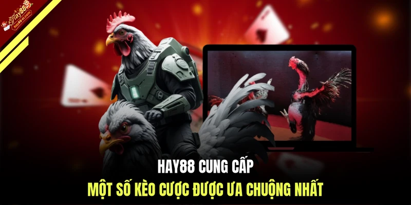 HAY88 cung cấp một số kèo cược được ưa chuộng nhất